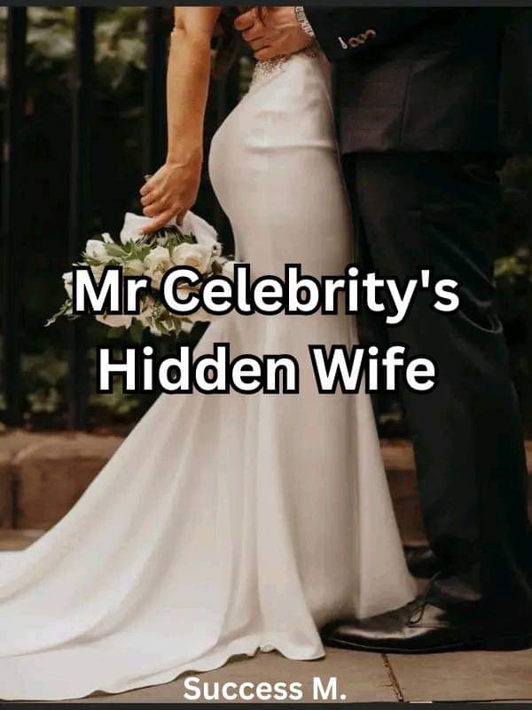 Mr. Celebrity's Hidden Wife 