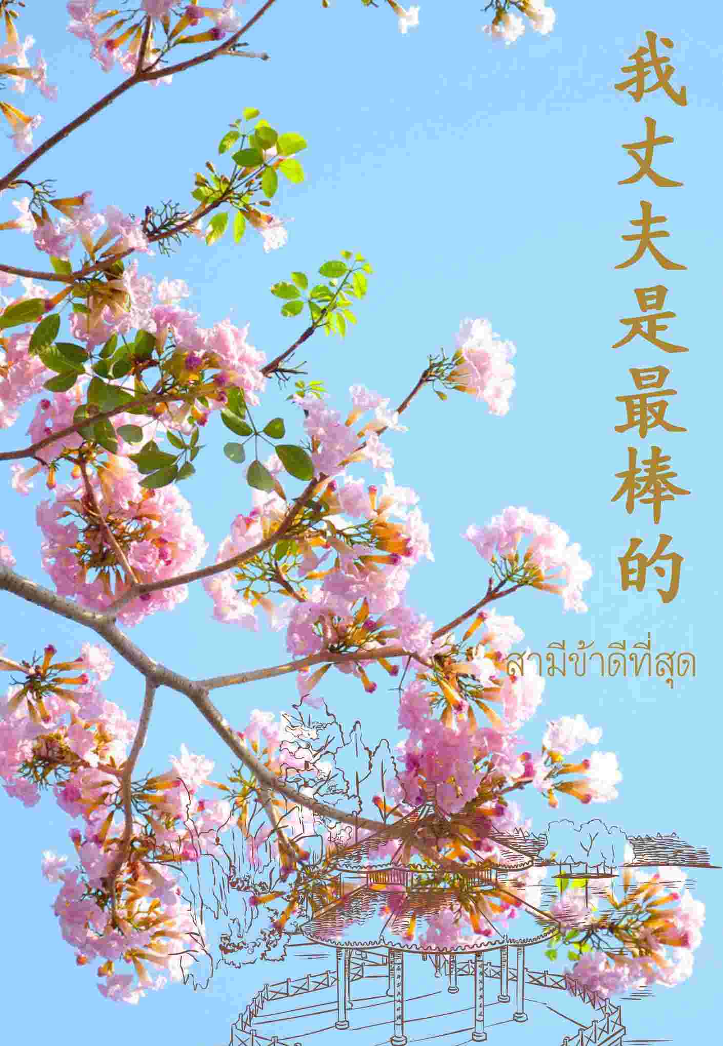 ********。สามีข้าดีที่สุด