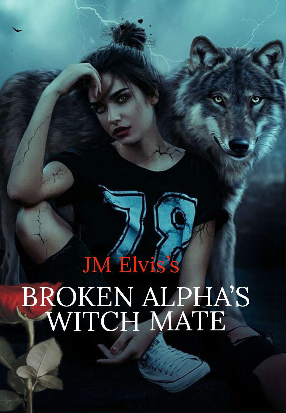 BROKEN ALPHA'S WITCH MATE