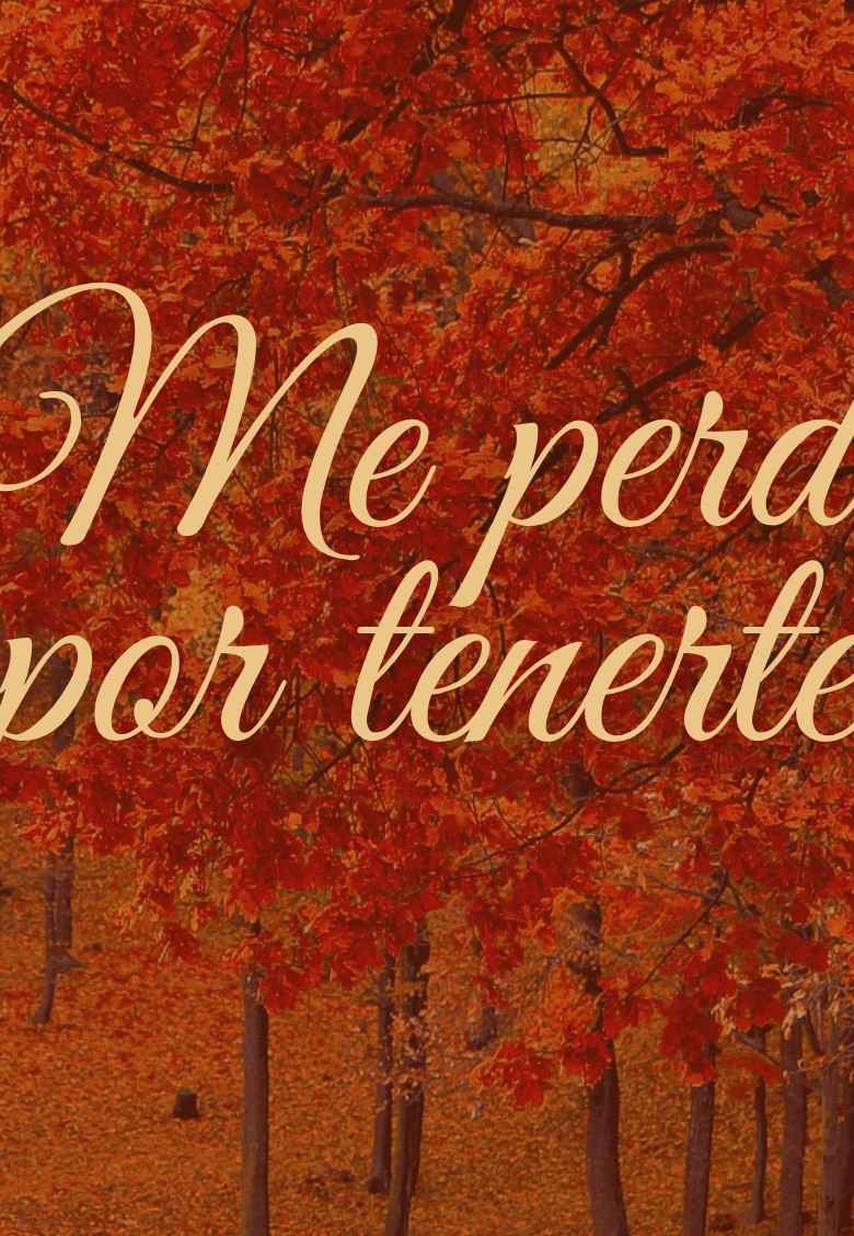 Me perdí por tenerte