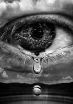 Mes cries d'alarme Tome I