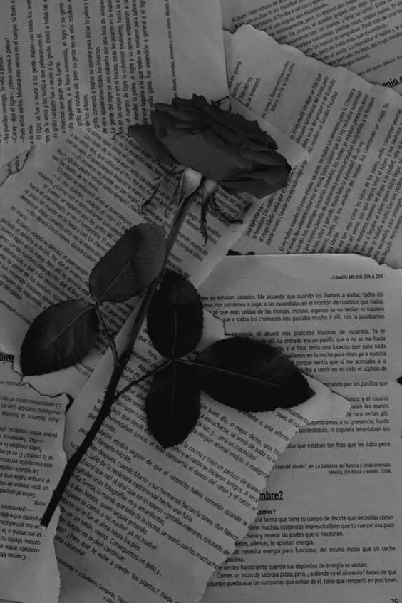 author-avatar