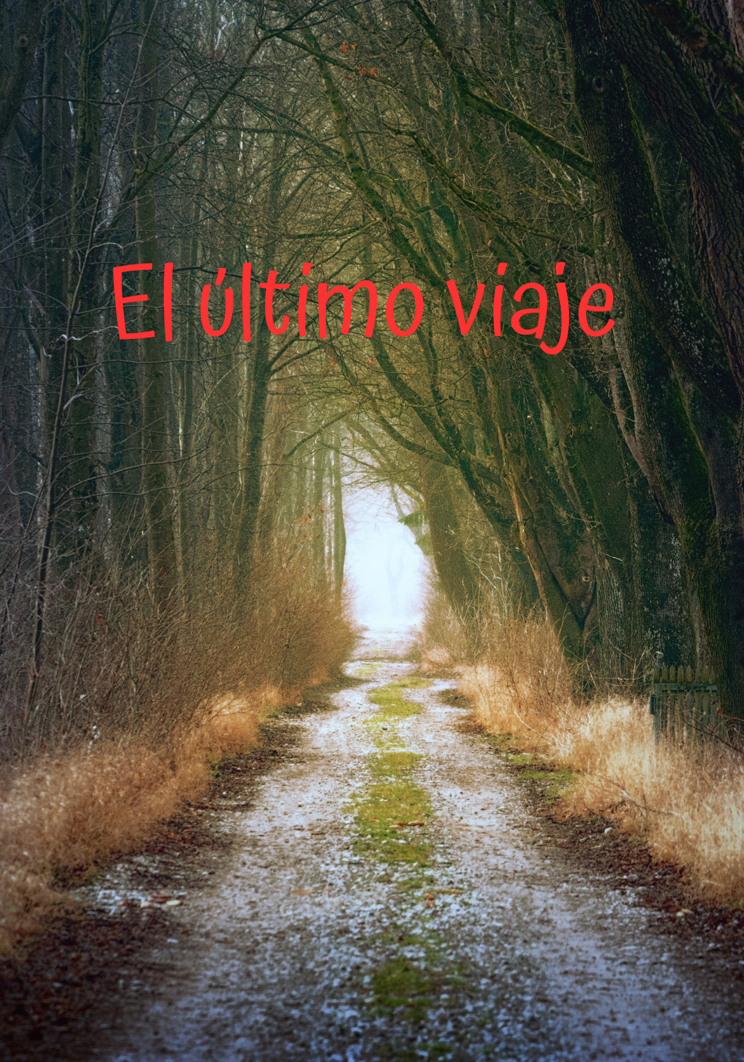El ultimo Viaje