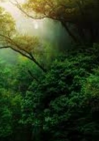 Minha História de Amor com o Rei !