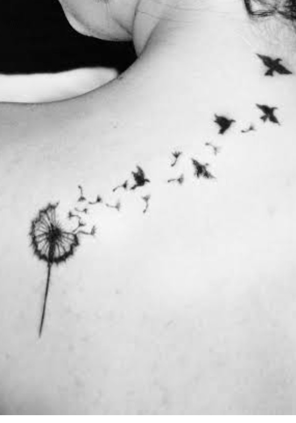 Vendida ao dono do CV