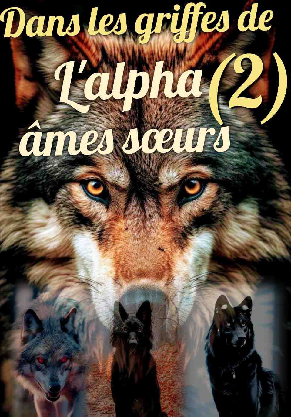 dans les griffes de l'Alpha ( tome 2) âme sœur