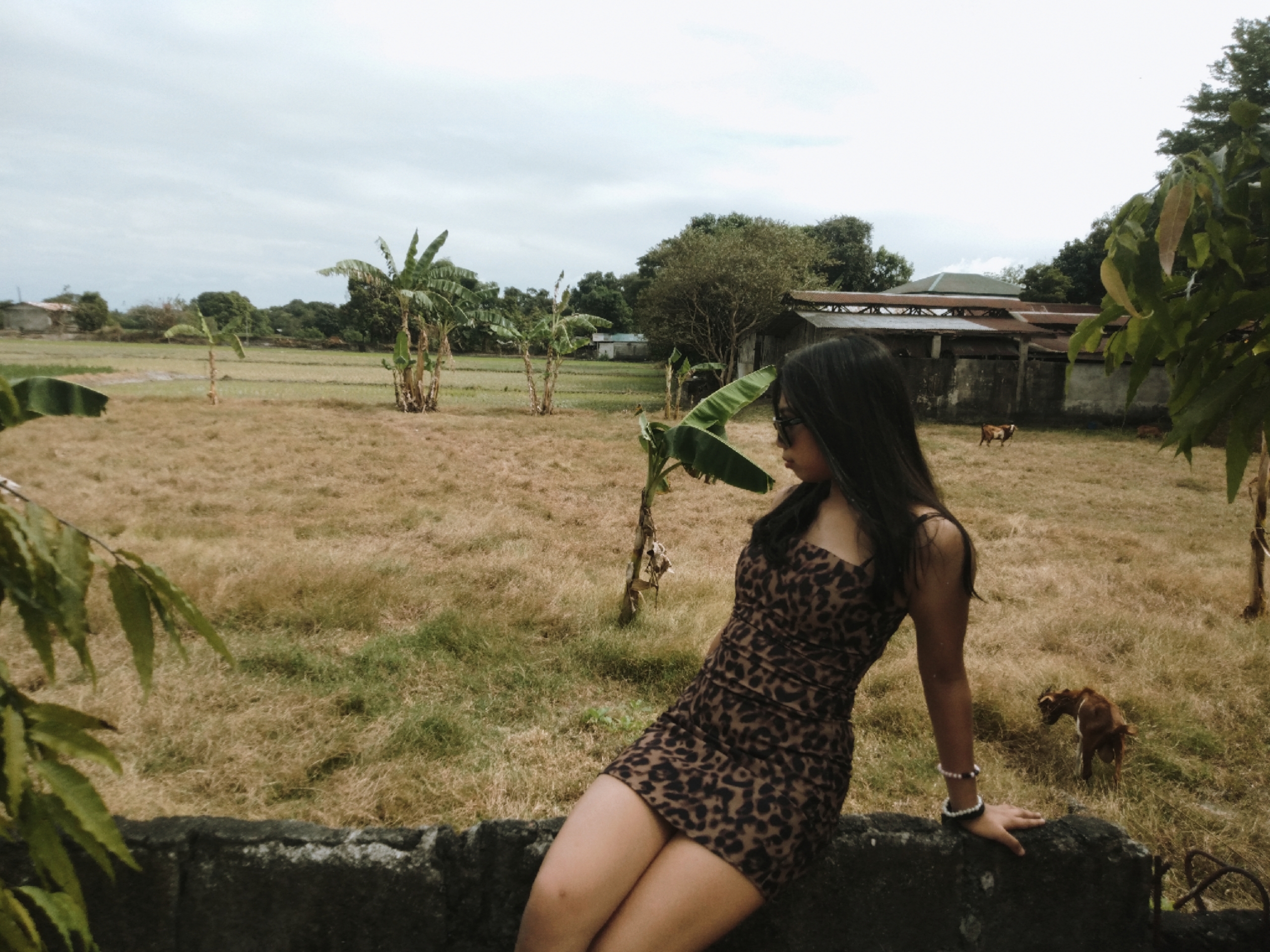 author-avatar
