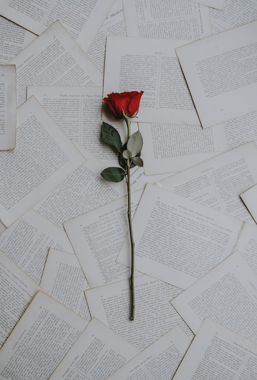author-avatar