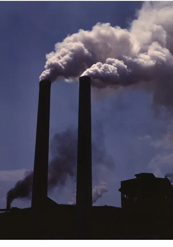 Pollution is the introduction of harmful materials into the 
