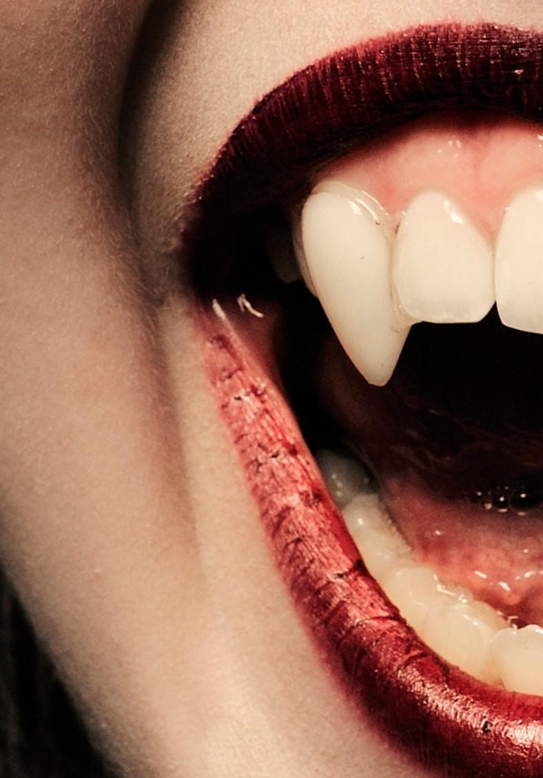 The Wolf and the Succubus