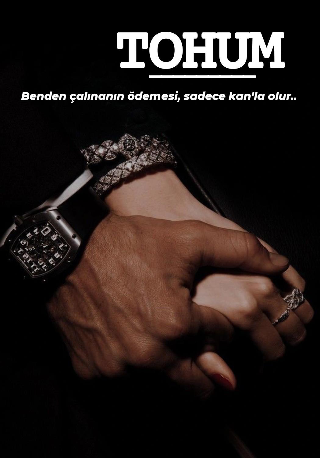 TOHUM     ( MAFYA SERİSİ 1 )
