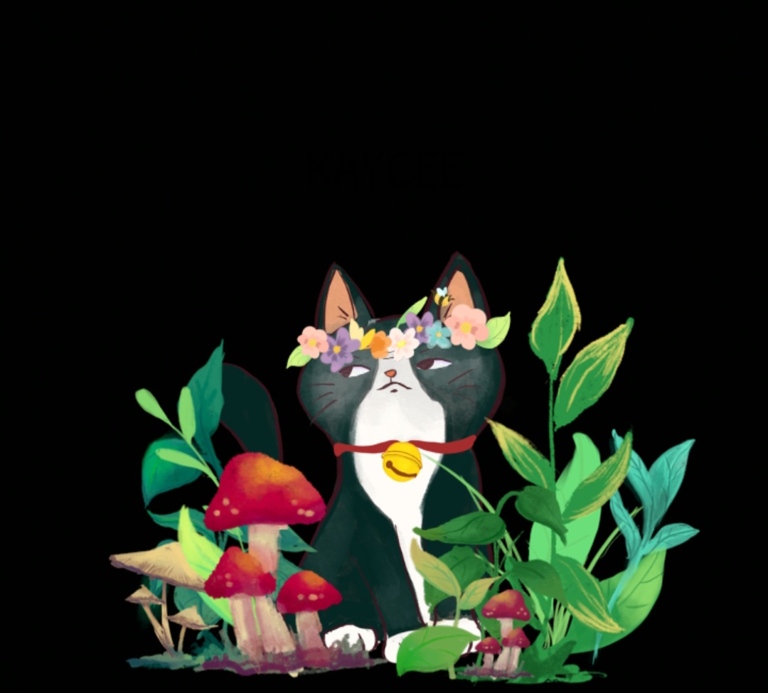 author-avatar