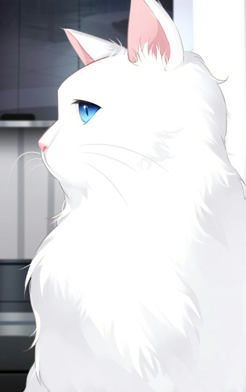 author-avatar