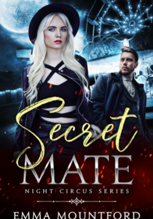 Secret Mate: Night Circus Series