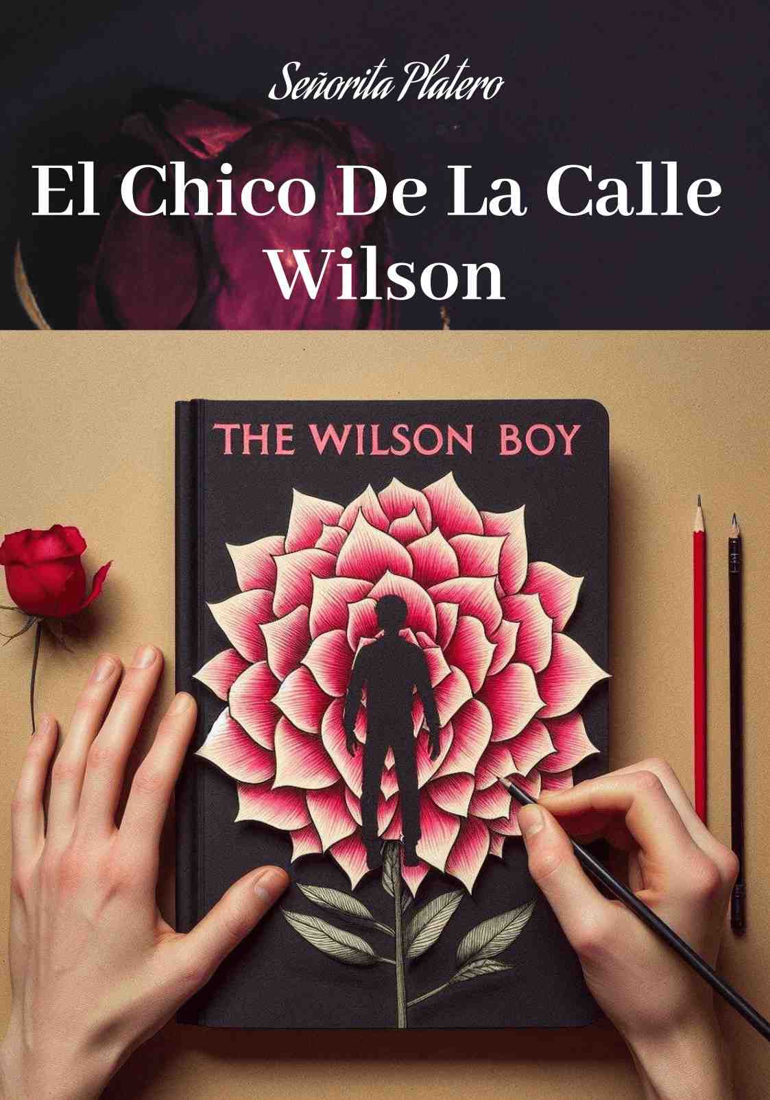 El Chico De La Calle Wilson.