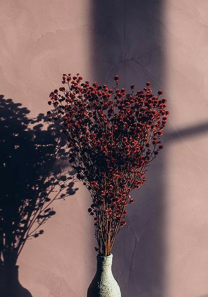 Terjebak Bersamamu (Indonesia)