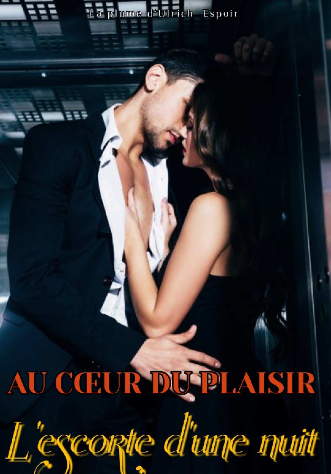 AU CŒUR DU PLAISIR, L'ESCORTE D'UNE NUIT