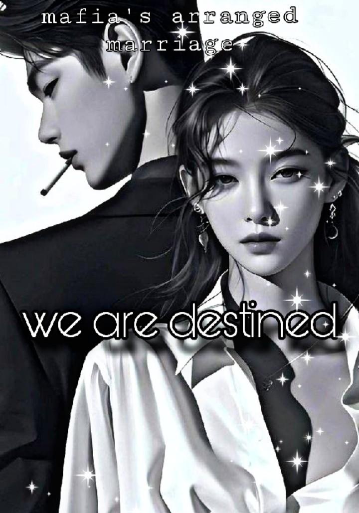 we are destined (the Mafia's arrange marriage)