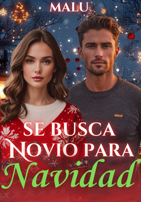 Se busca novio para navidad
