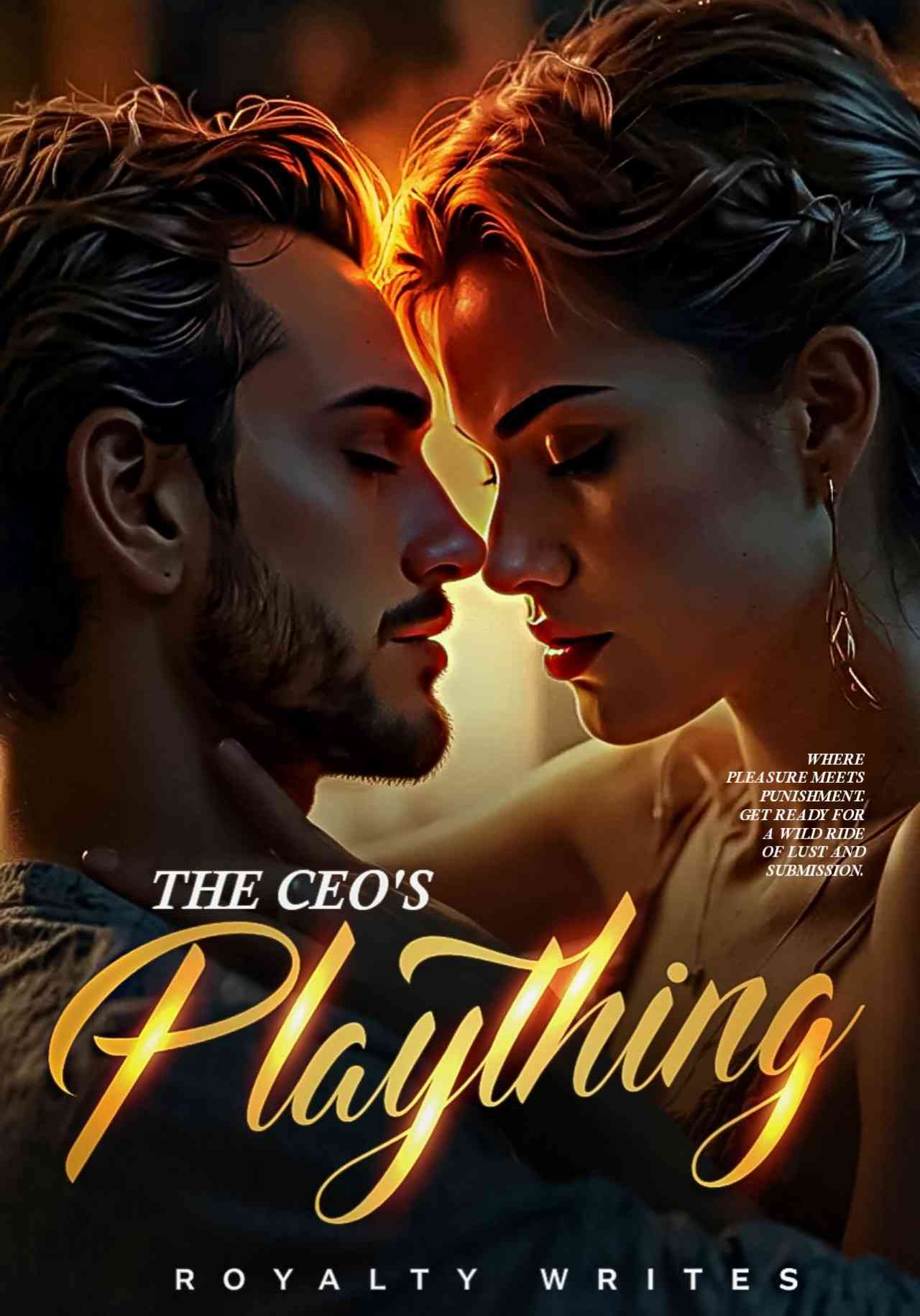 The CEO'S Plaything