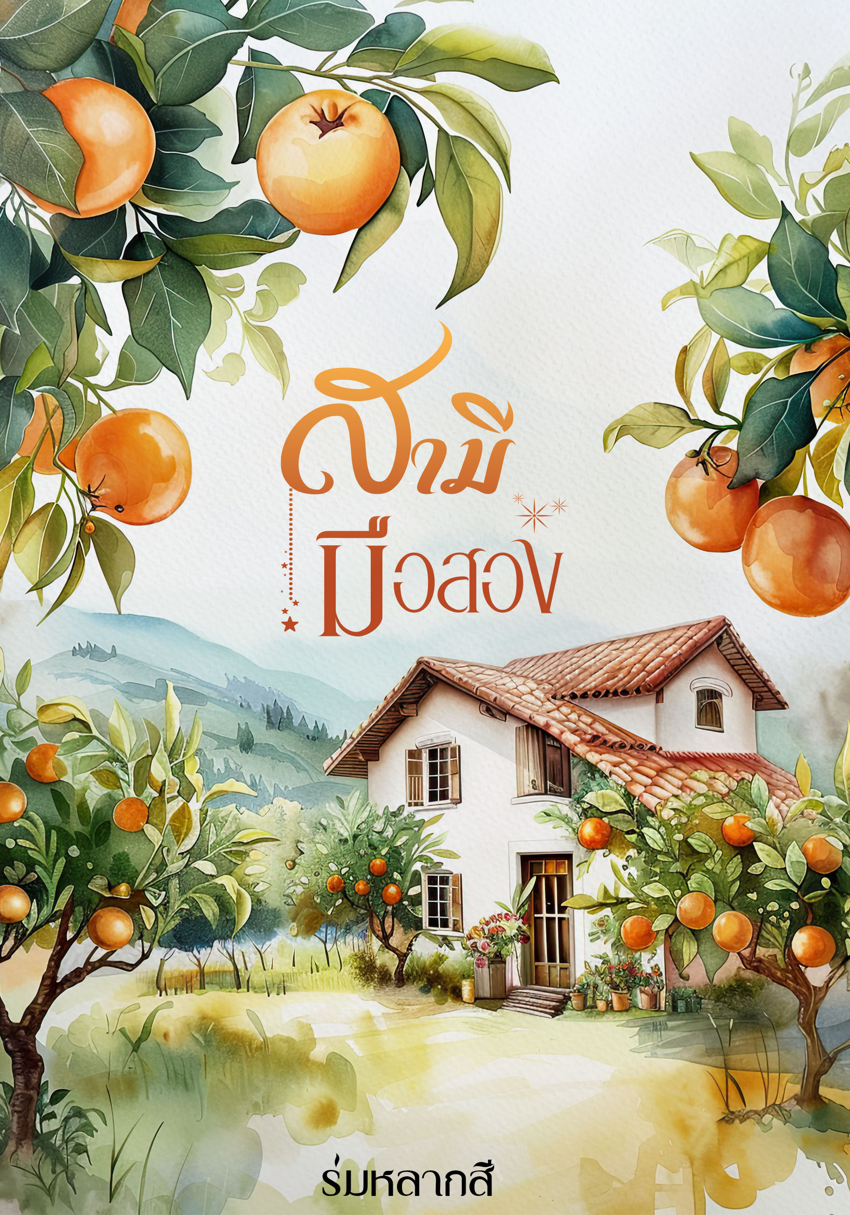 สามีมือสอง