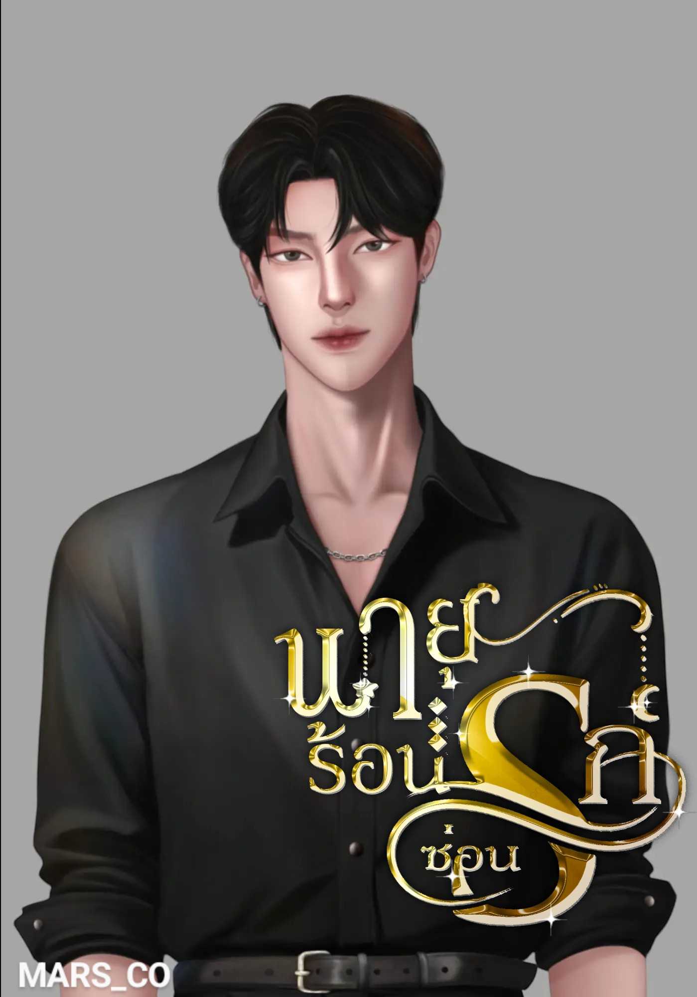 พายุร้อนซ่อนรัก