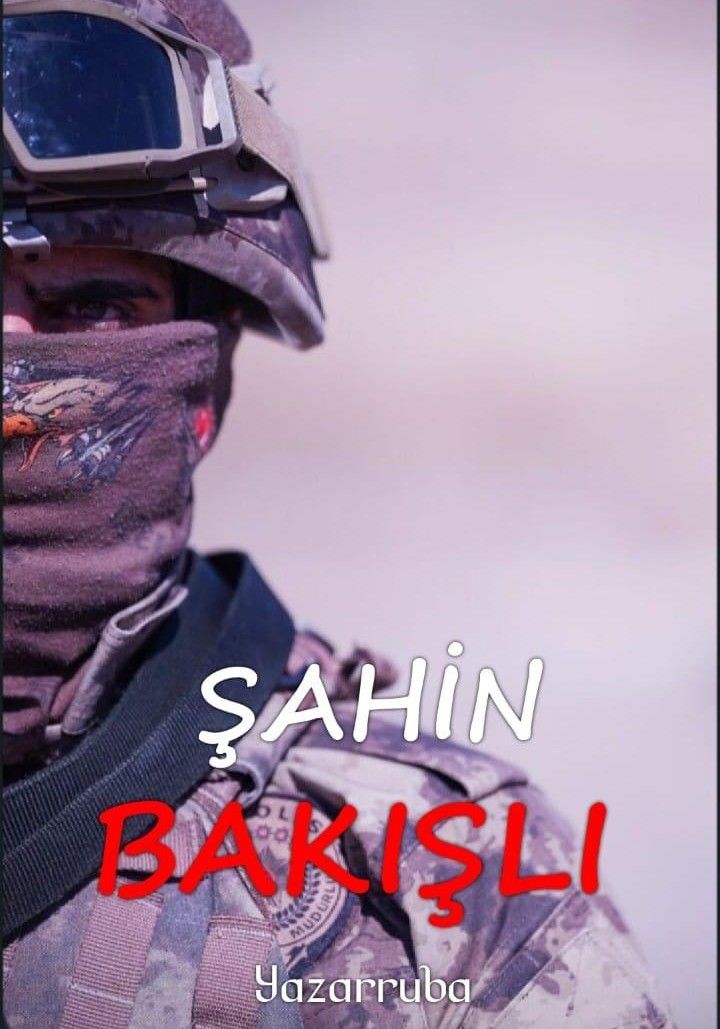 Şahin Bakışlı