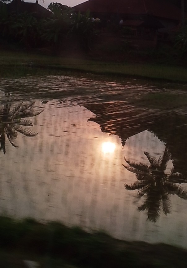 Mengerti Mereka? Bagaimana dengan perasaanku