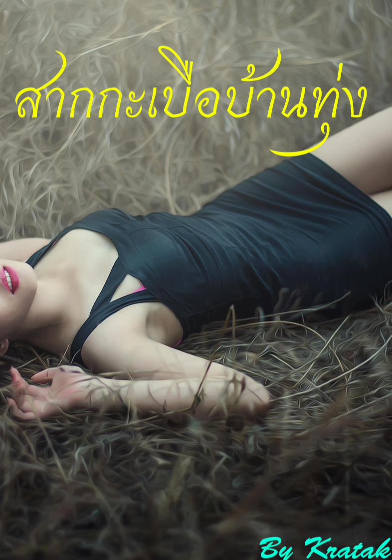 สากกะเบือบ้านทุ่ง NC 20+