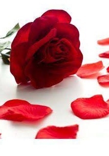 O Mundo em suas mãos