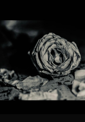 L’ombre du passé 🖤