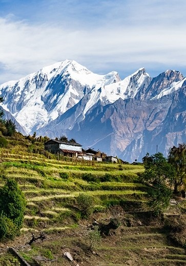 La renaissance d'une vengeresse