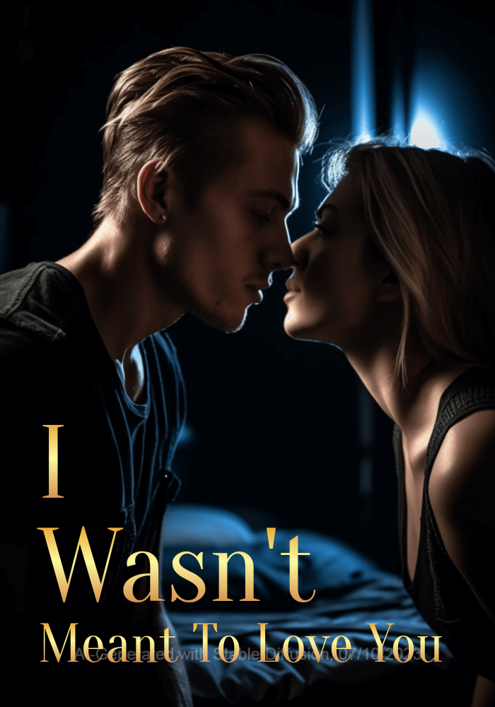 I Wasn't Meant To Love You