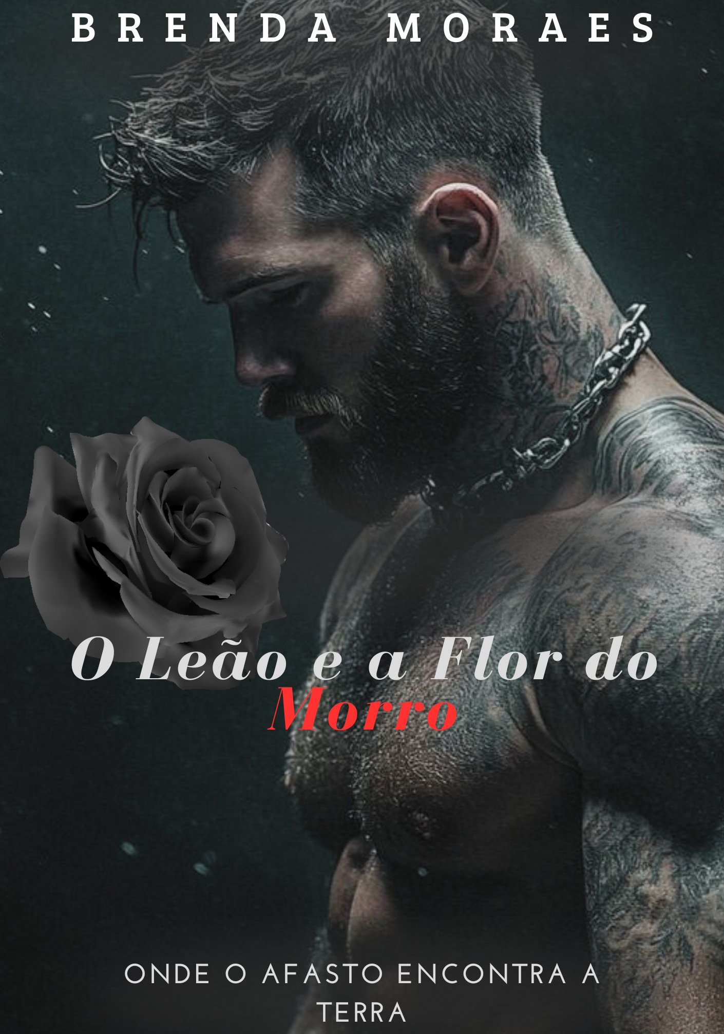 O LEÃO E FLOR DO MORRO.