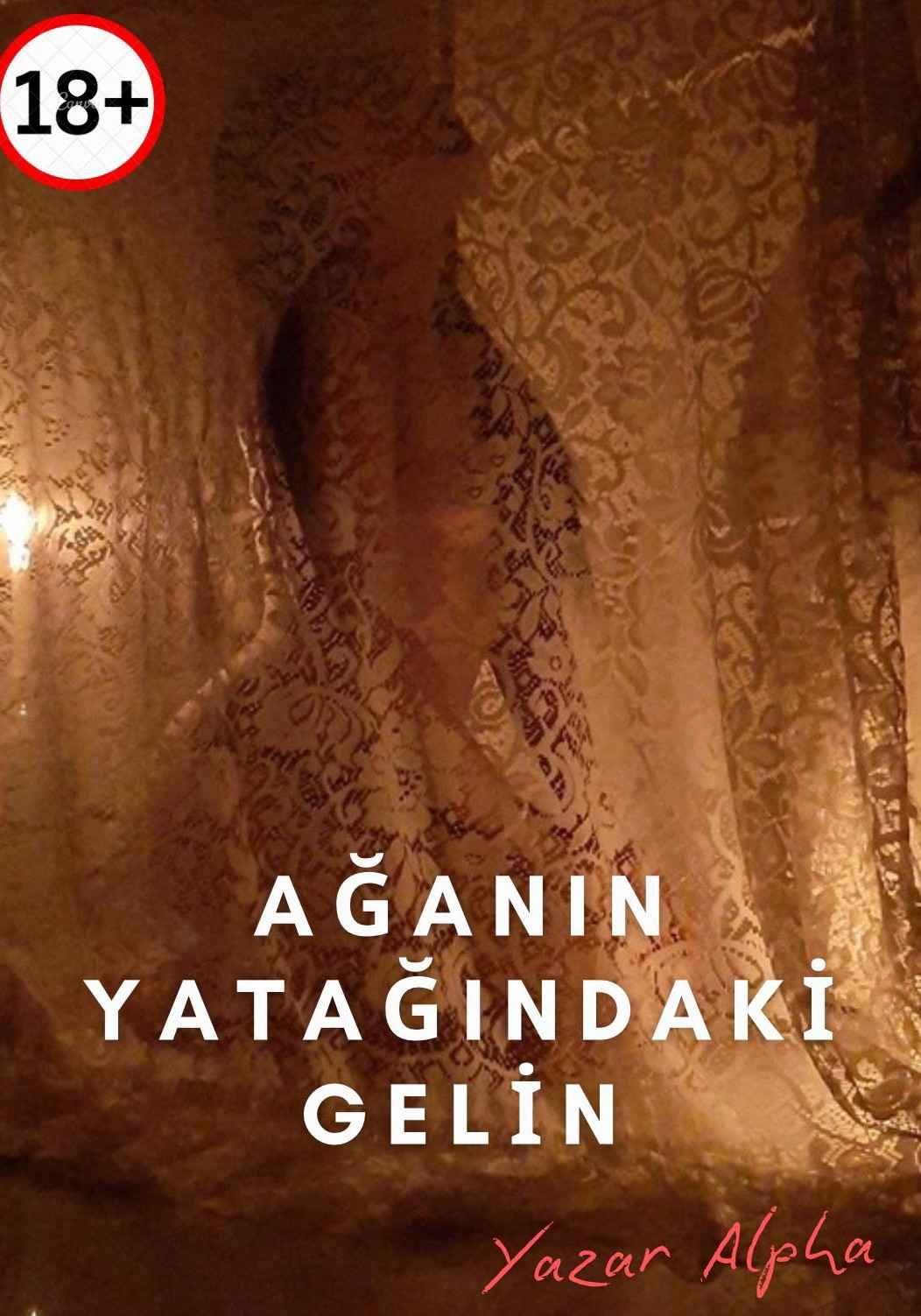 Ağanın Yatağındaki Gelin +18