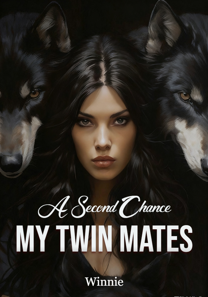 A Second Chance: My Twin Mates
