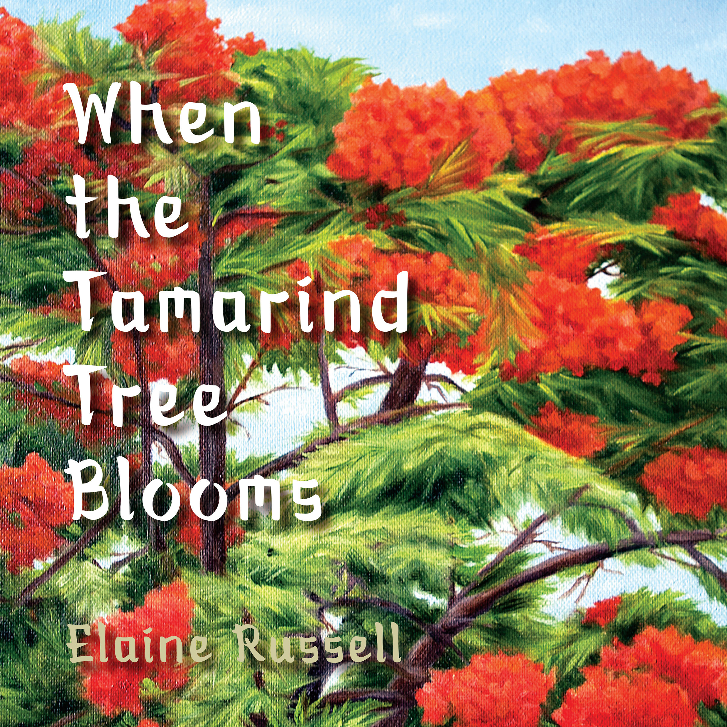 Picture of the author