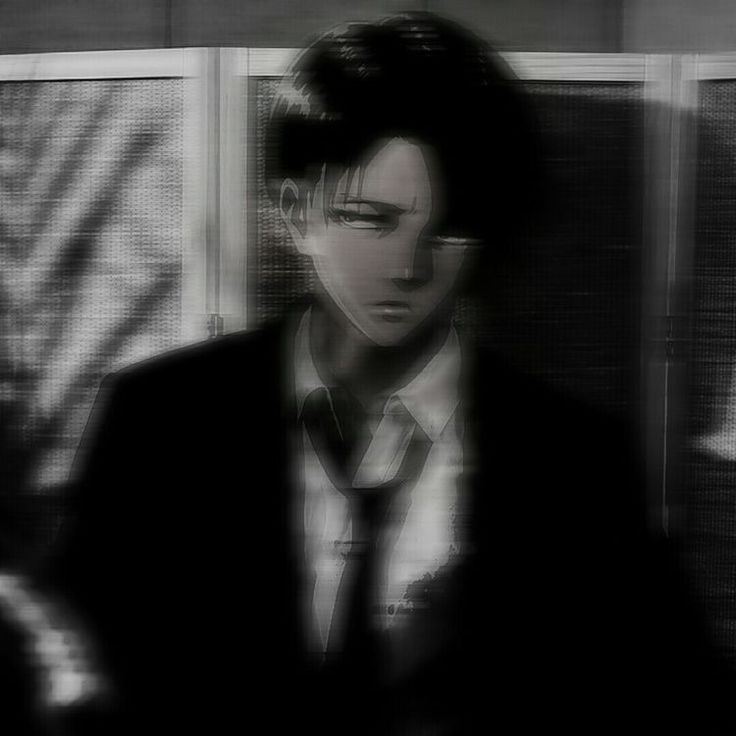 author-avatar