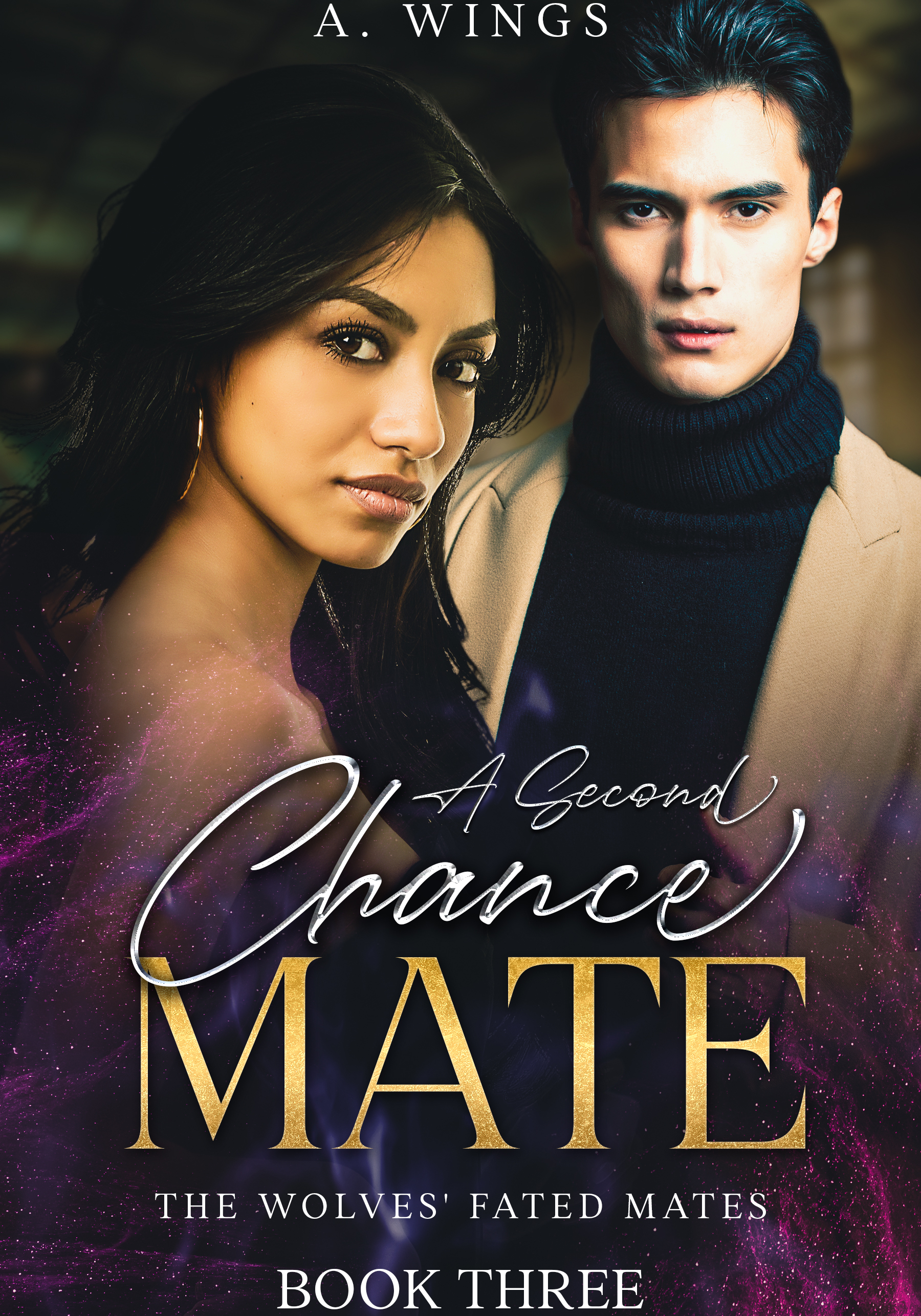 A Second Chance Mate