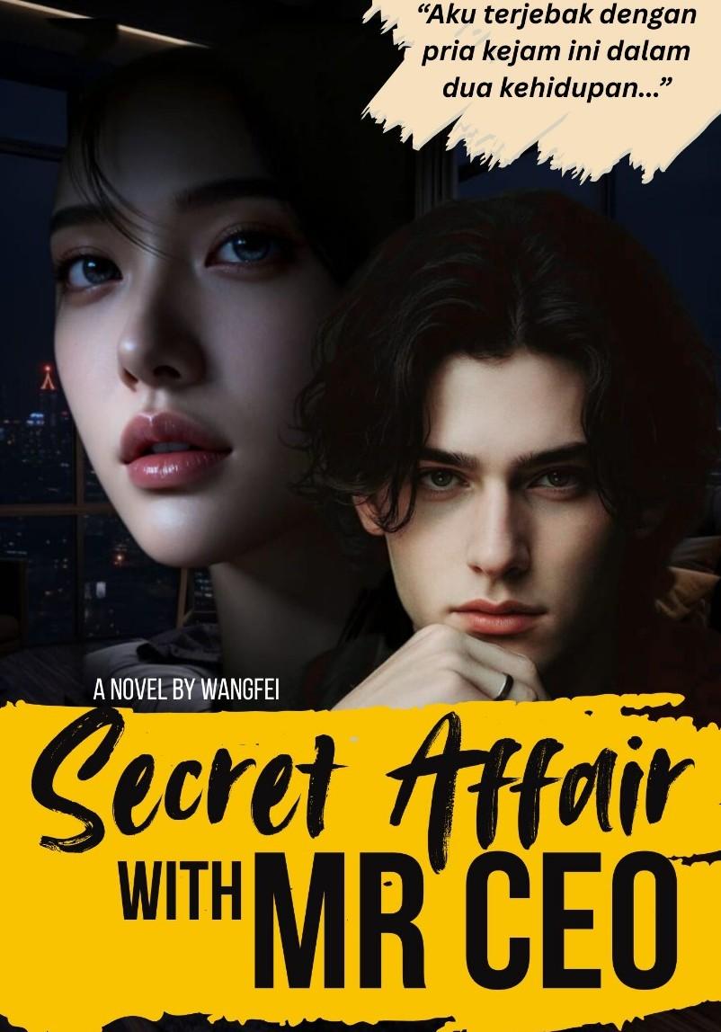 Secret Affair With MR CEO