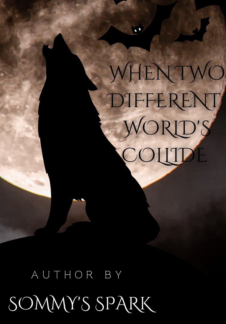 WHEN TWO DIFFERENT WORLD'S COLLIDES