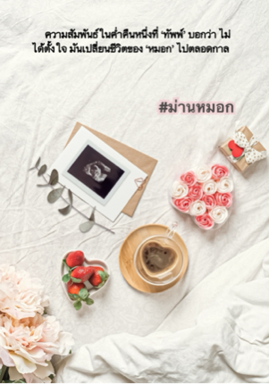 ม่านหมอก