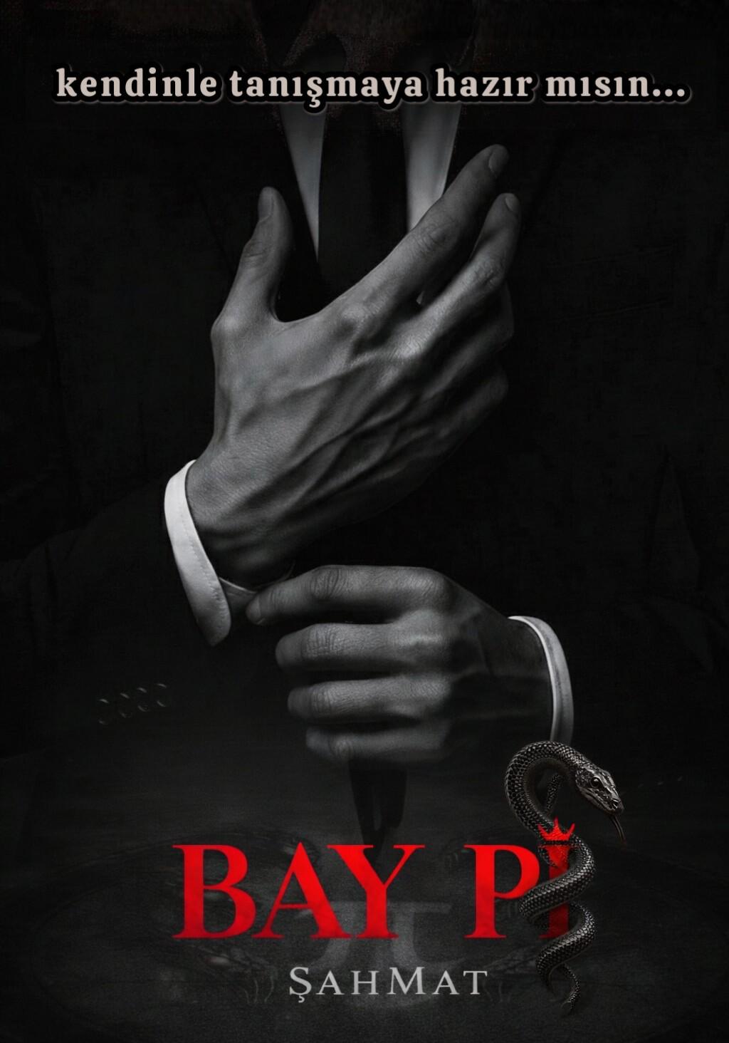 Bay Pi