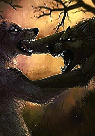 The Wolf She Came to Kill