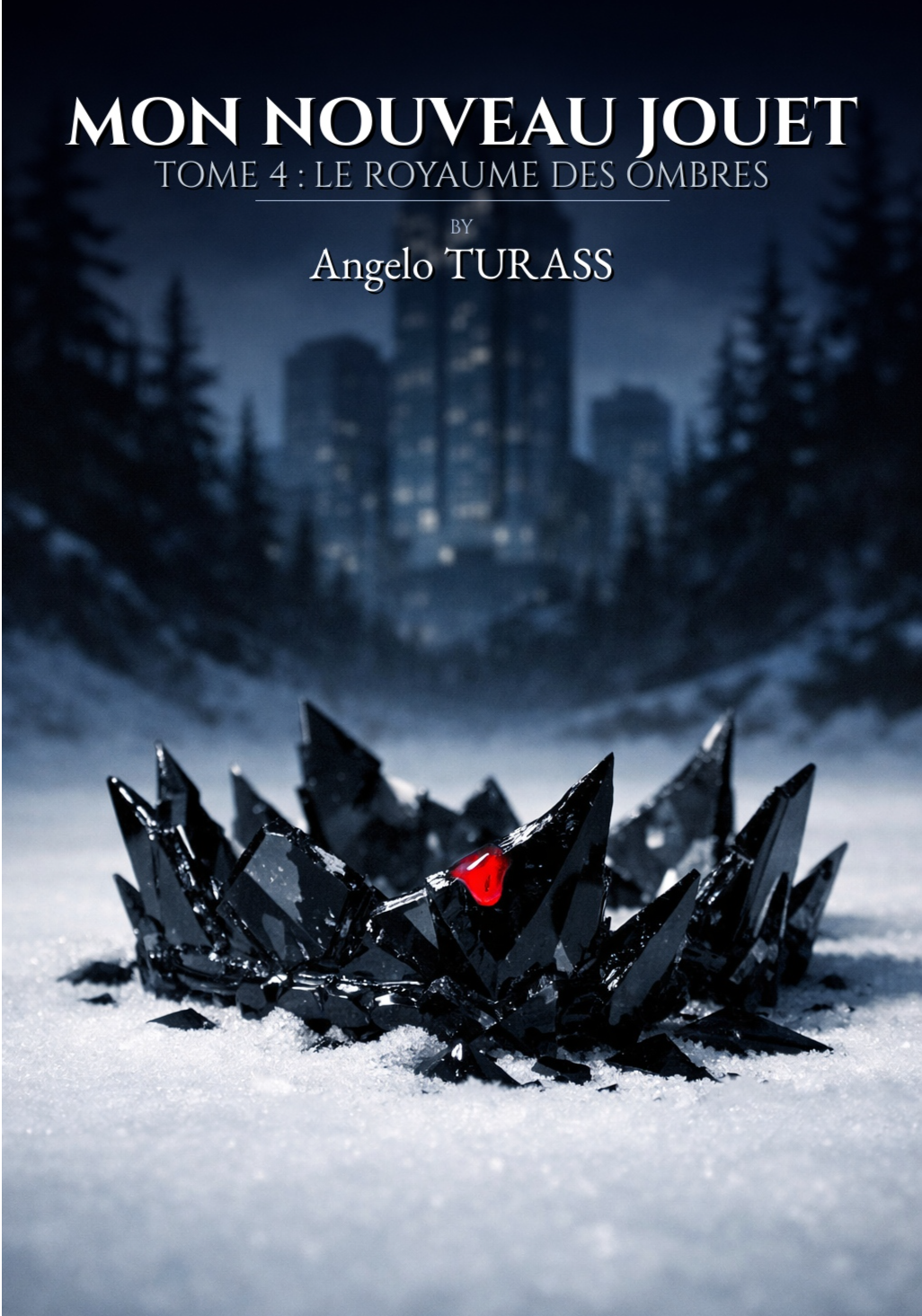 Mon Nouveau Jouet (Tome 4)