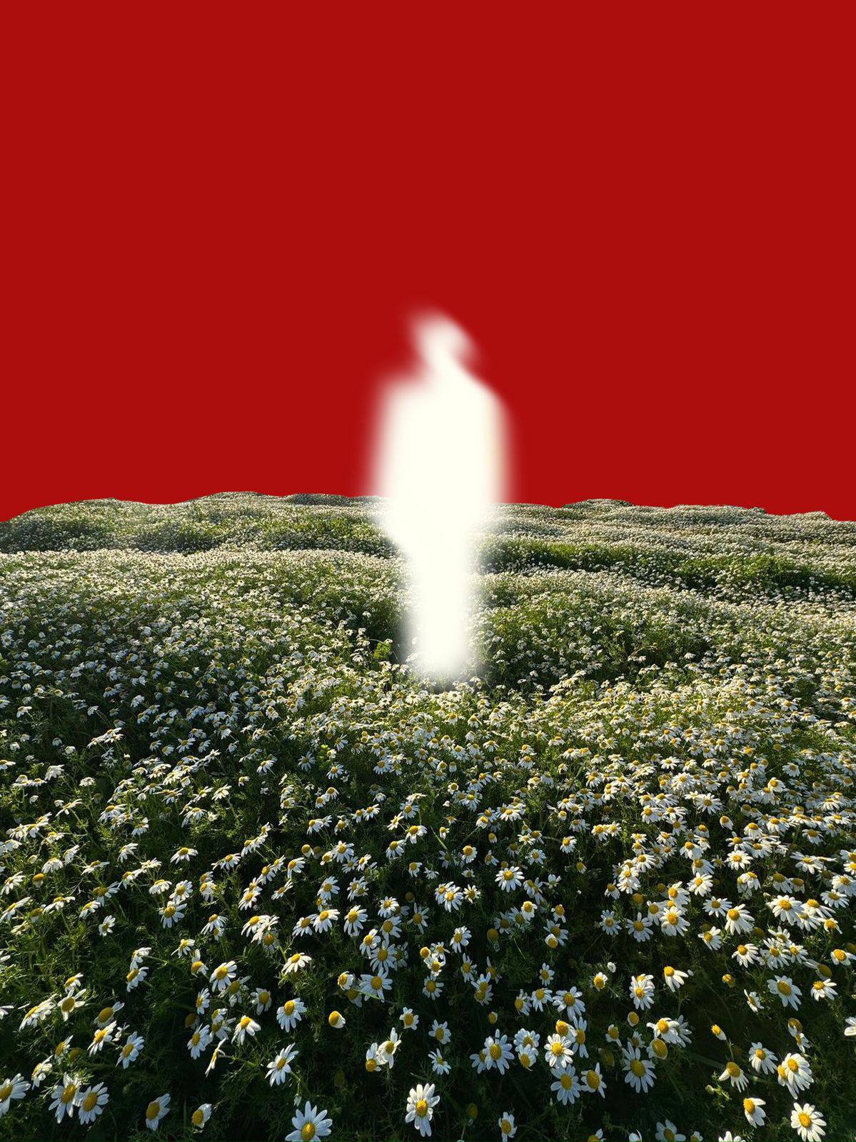 author-avatar