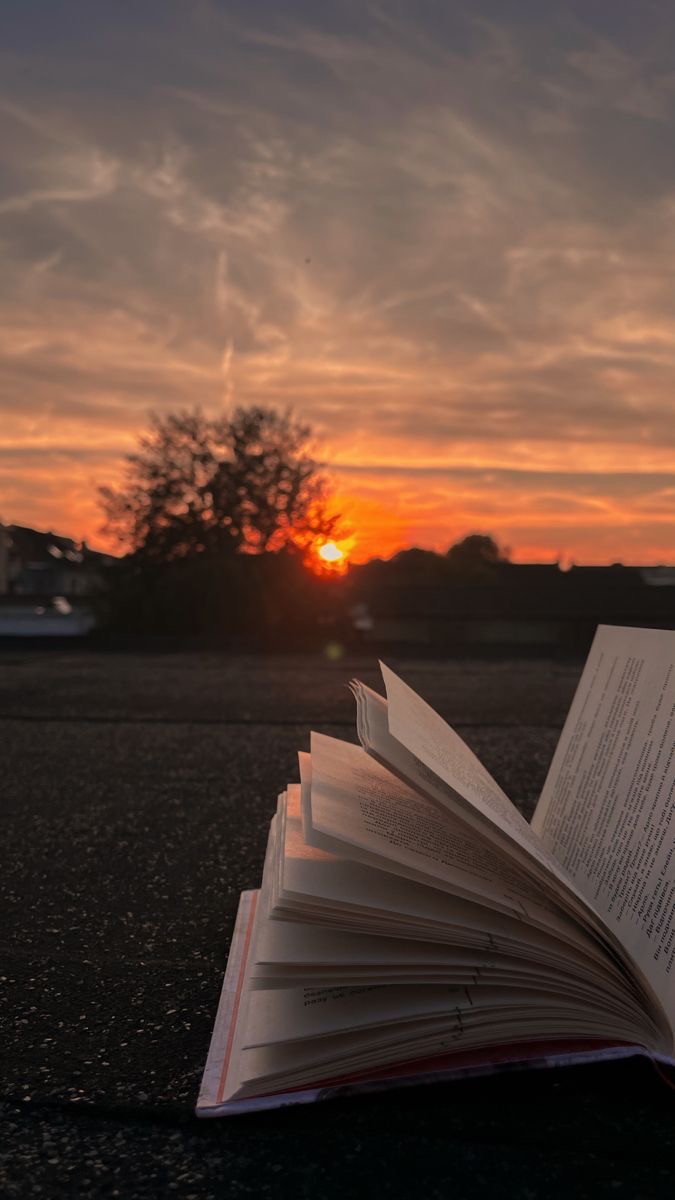 author-avatar