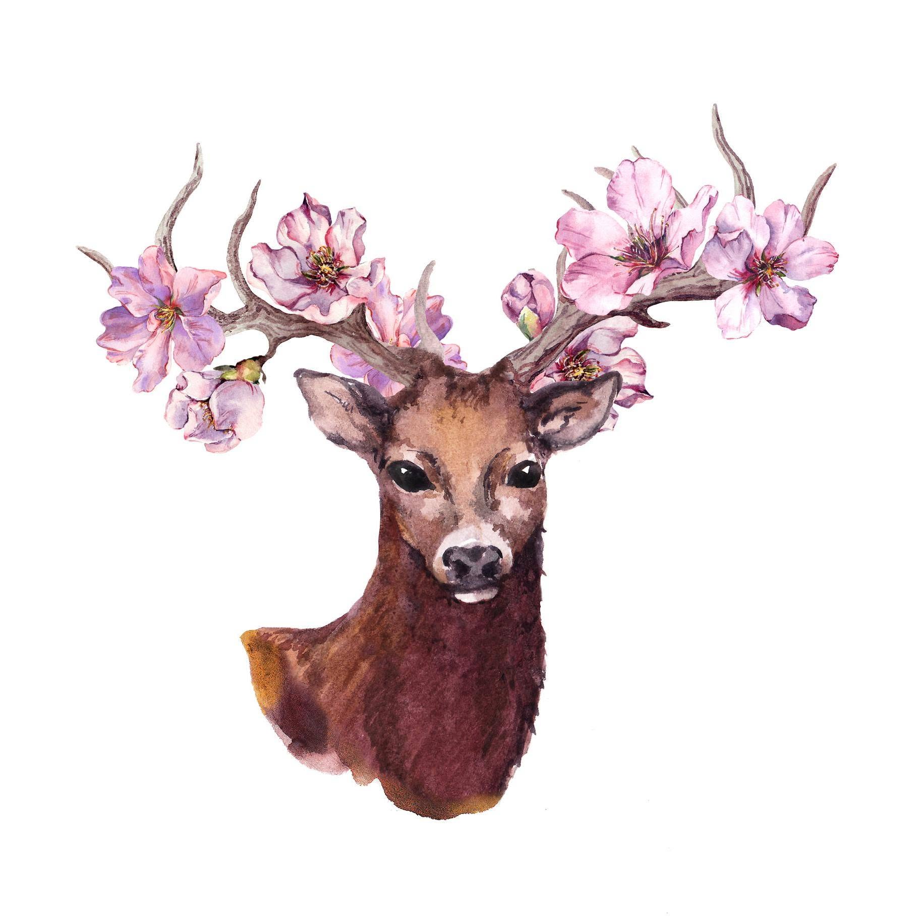 author-avatar