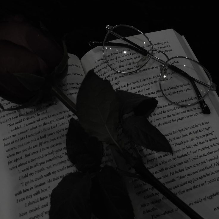 author-avatar