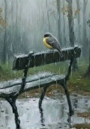 The Day You Left